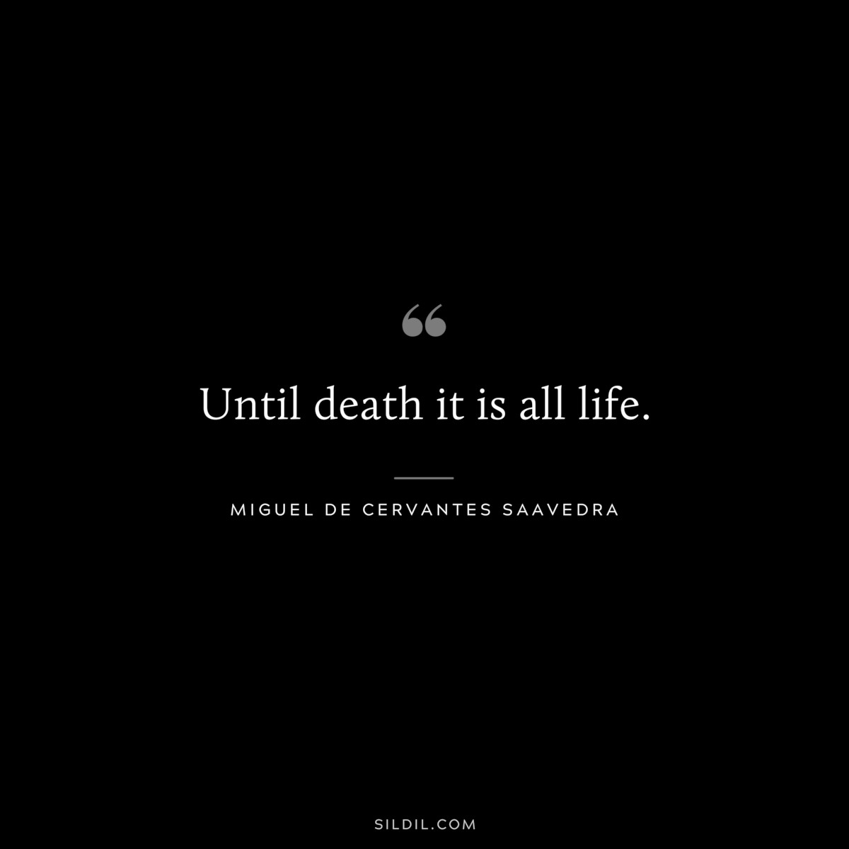 Until death it is all life. ― Miguel de Cervantes Saavedra