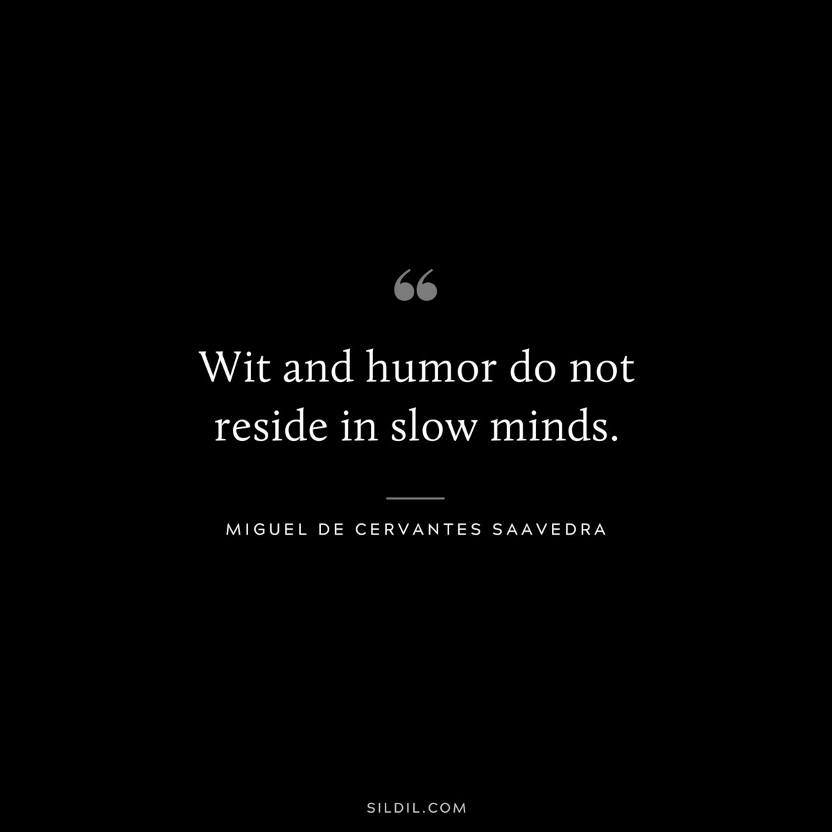 Wit and humor do not reside in slow minds. ― Miguel de Cervantes Saavedra