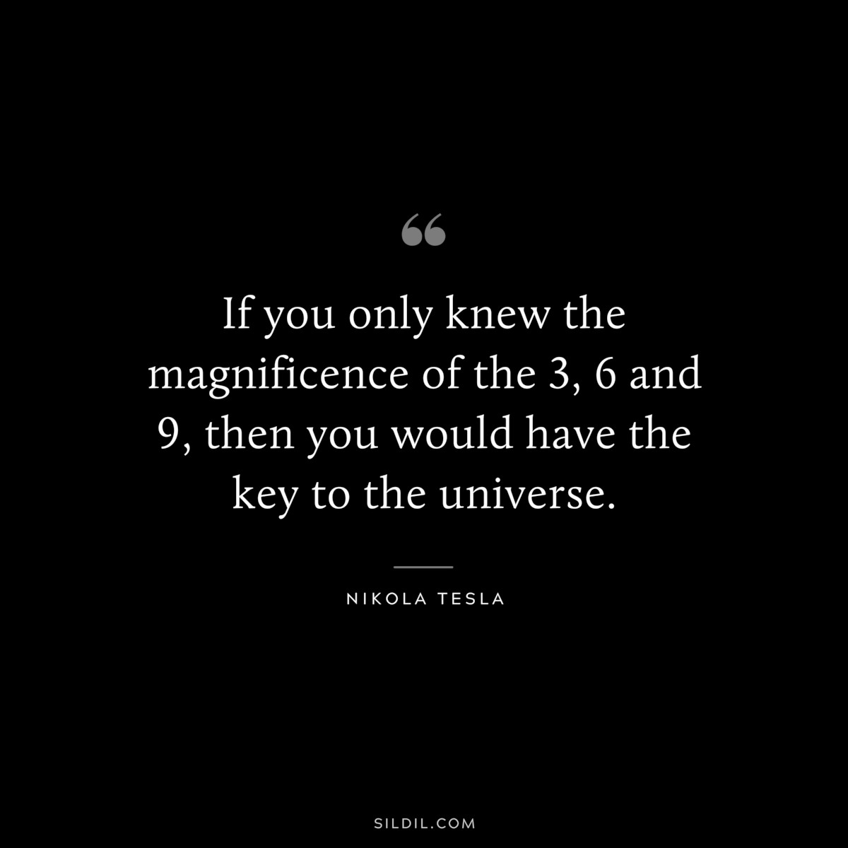 If you only knew the magnificence of the 3, 6 and 9, then you would have the key to the universe. ― Nikola Tesla