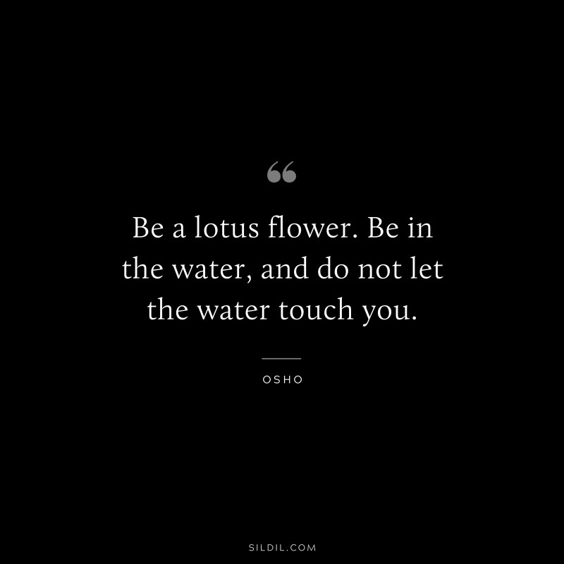 Be a lotus flower. Be in the water, and do not let the water touch you. ― Osho