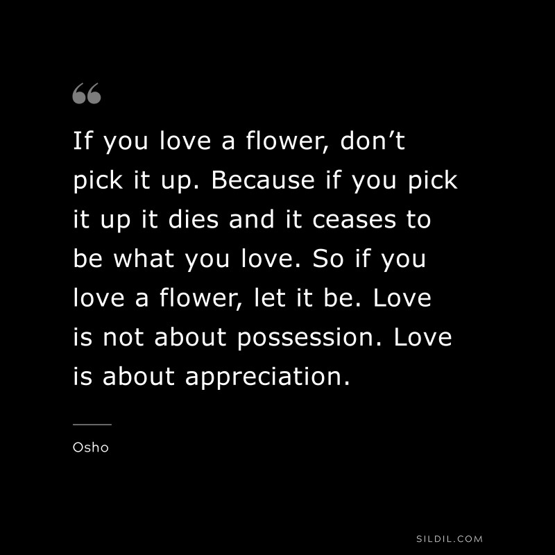 If you love a flower, don’t pick it up. Because if you pick it up it dies and it ceases to be what you love. So if you love a flower, let it be. Love is not about possession. Love is about appreciation. ― Osho