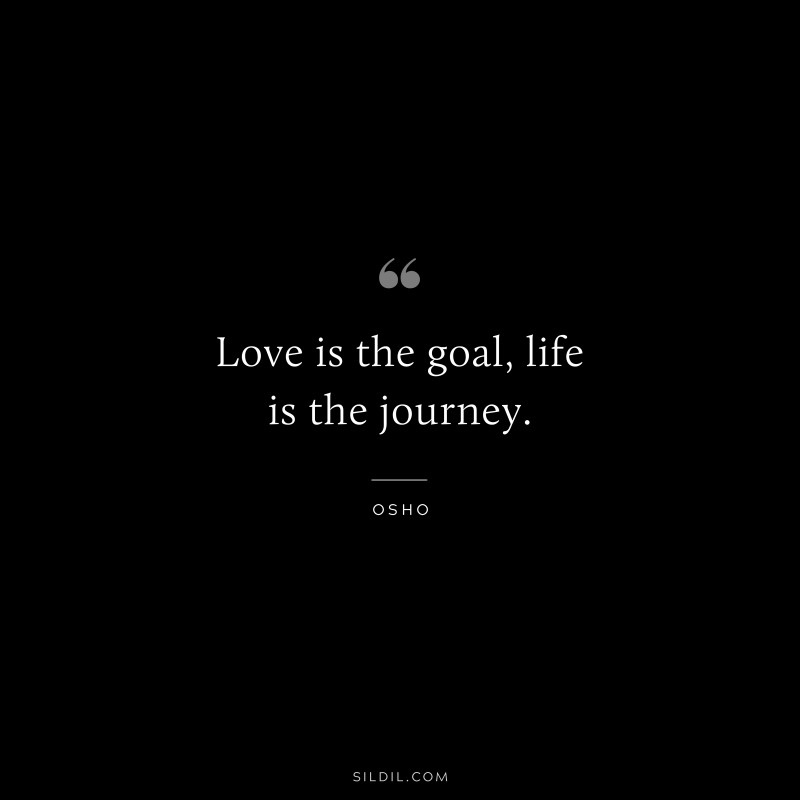 Love is the goal, life is the journey. ― Osho