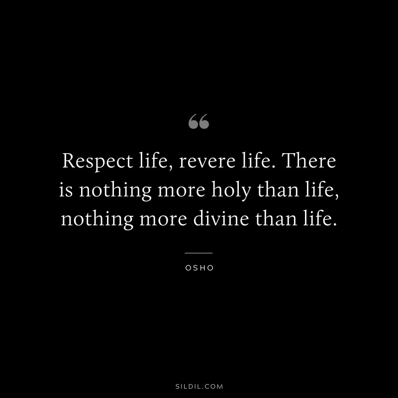 Respect life, revere life. There is nothing more holy than life, nothing more divine than life. ― Osho