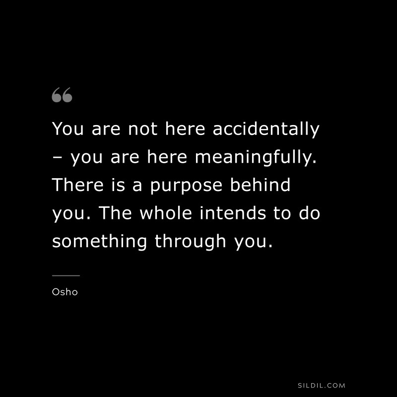You are not here accidentally – you are here meaningfully. There is a purpose behind you. The whole intends to do something through you. ― Osho