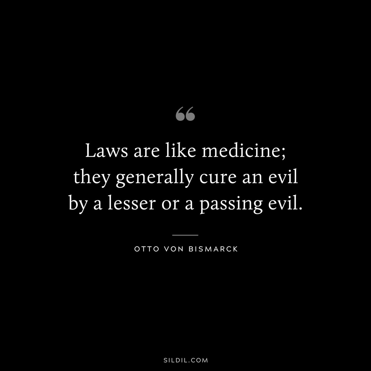 Laws are like medicine; they generally cure an evil by a lesser or a passing evil. ― Otto von Bismarck