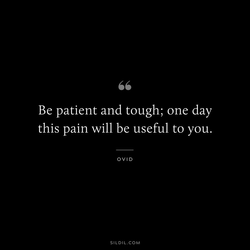 Be patient and tough; one day this pain will be useful to you. ― Ovid
