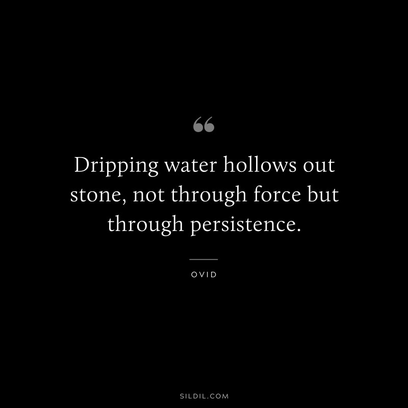 Dripping water hollows out stone, not through force but through persistence. ― Ovid