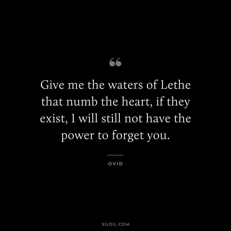 Give me the waters of Lethe that numb the heart, if they exist, I will still not have the power to forget you. ― Ovid