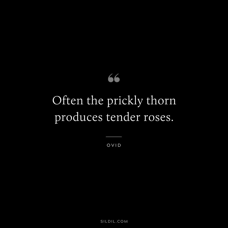 Often the prickly thorn produces tender roses. ― Ovid