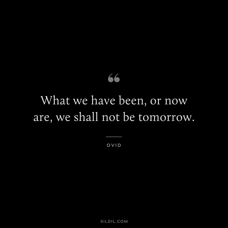 What we have been, or now are, we shall not be tomorrow. ― Ovid