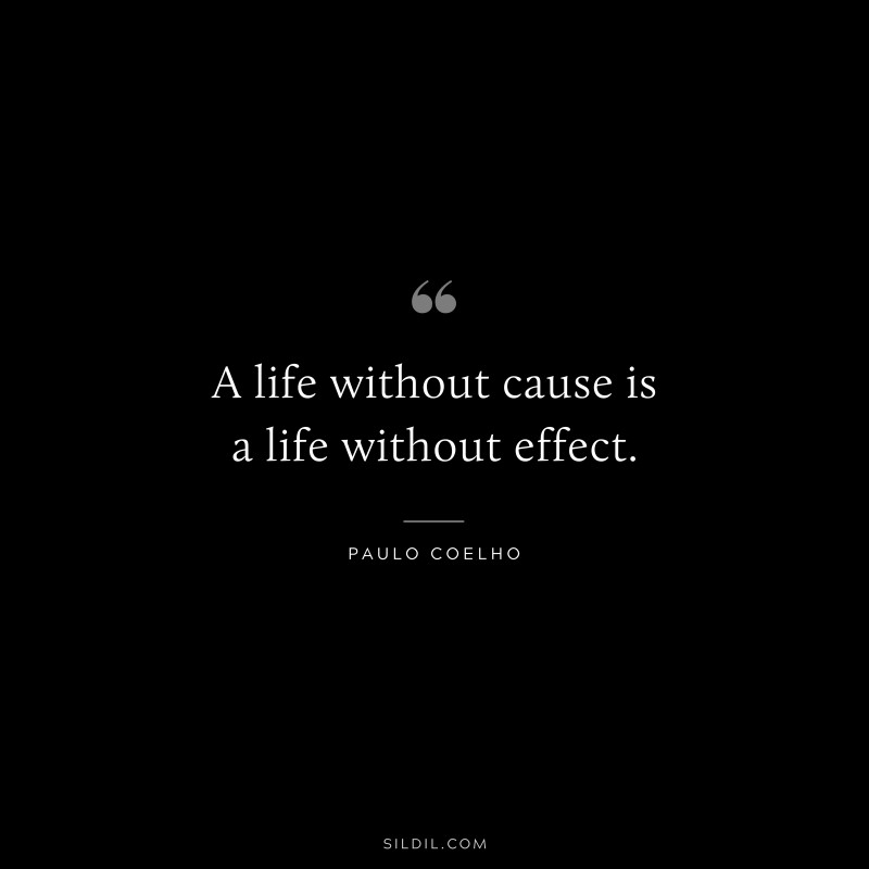 A life without cause is a life without effect. ― Paulo Coelho