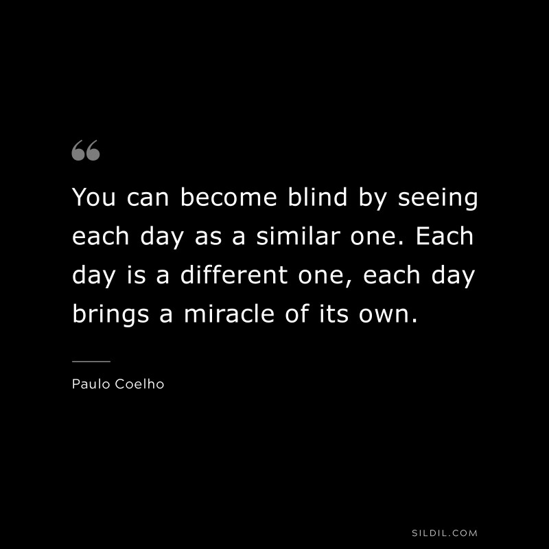 You can become blind by seeing each day as a similar one. Each day is a different one, each day brings a miracle of its own. ― Paulo Coelho