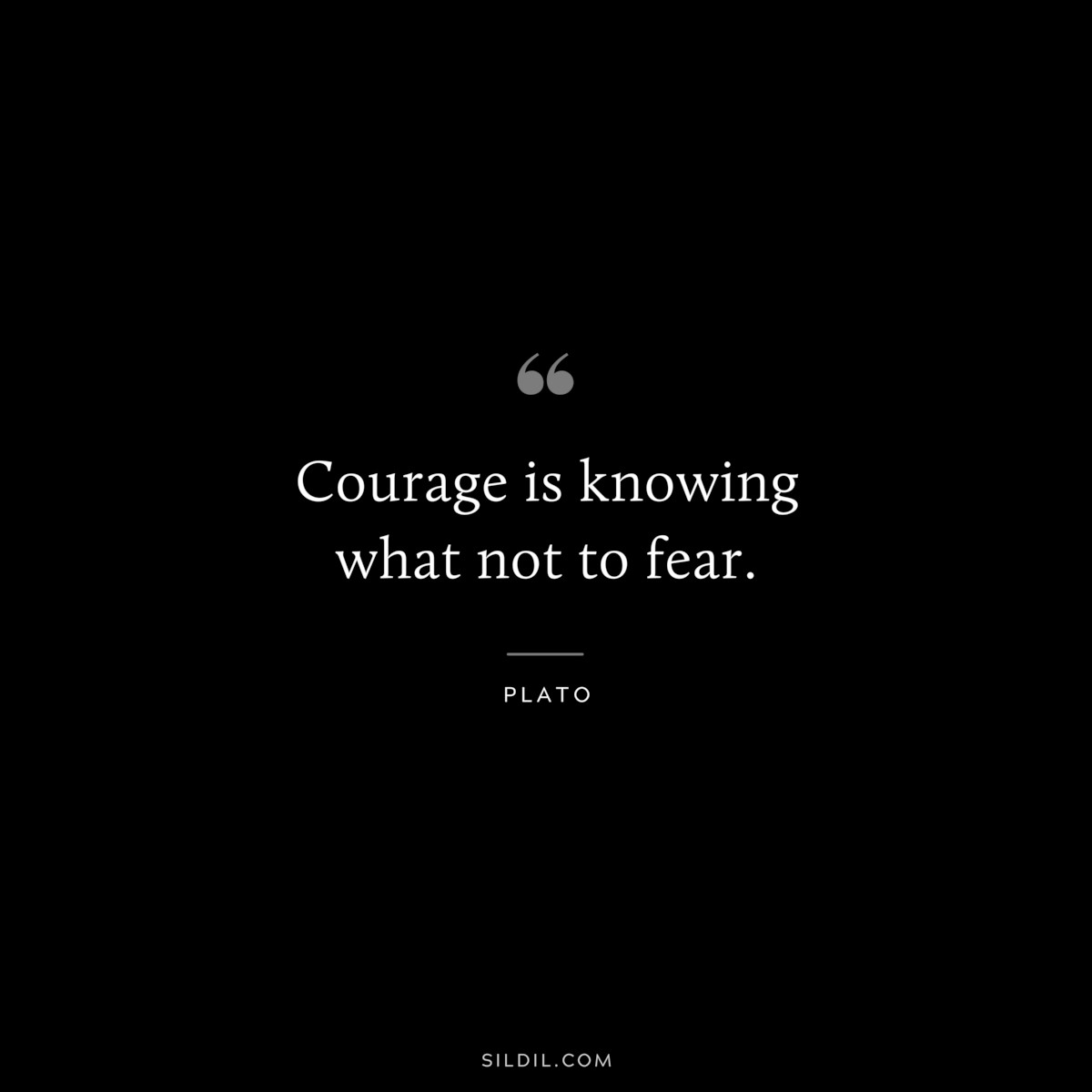 Courage is knowing what not to fear. ― Plato