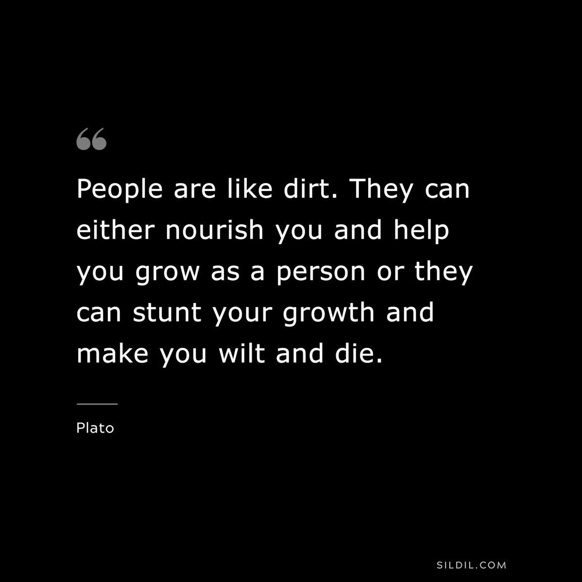 People are like dirt. They can either nourish you and help you grow as a person or they can stunt your growth and make you wilt and die. ― Plato