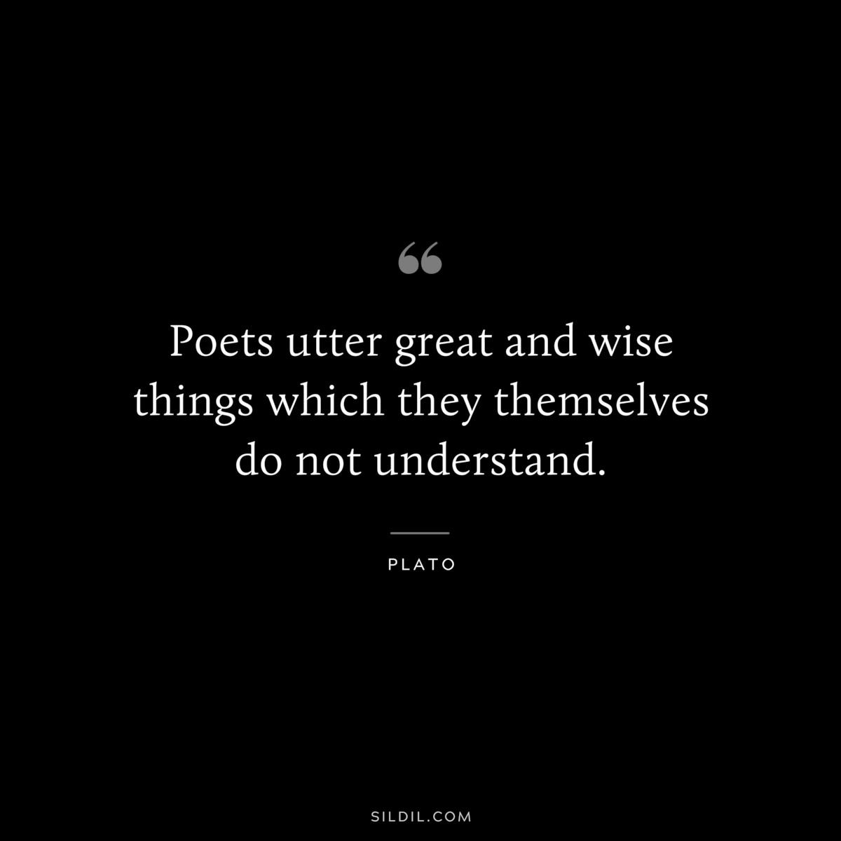 Poets utter great and wise things which they themselves do not understand. ― Plato