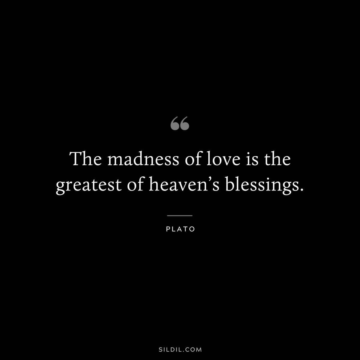 The madness of love is the greatest of heaven’s blessings. ― Plato
