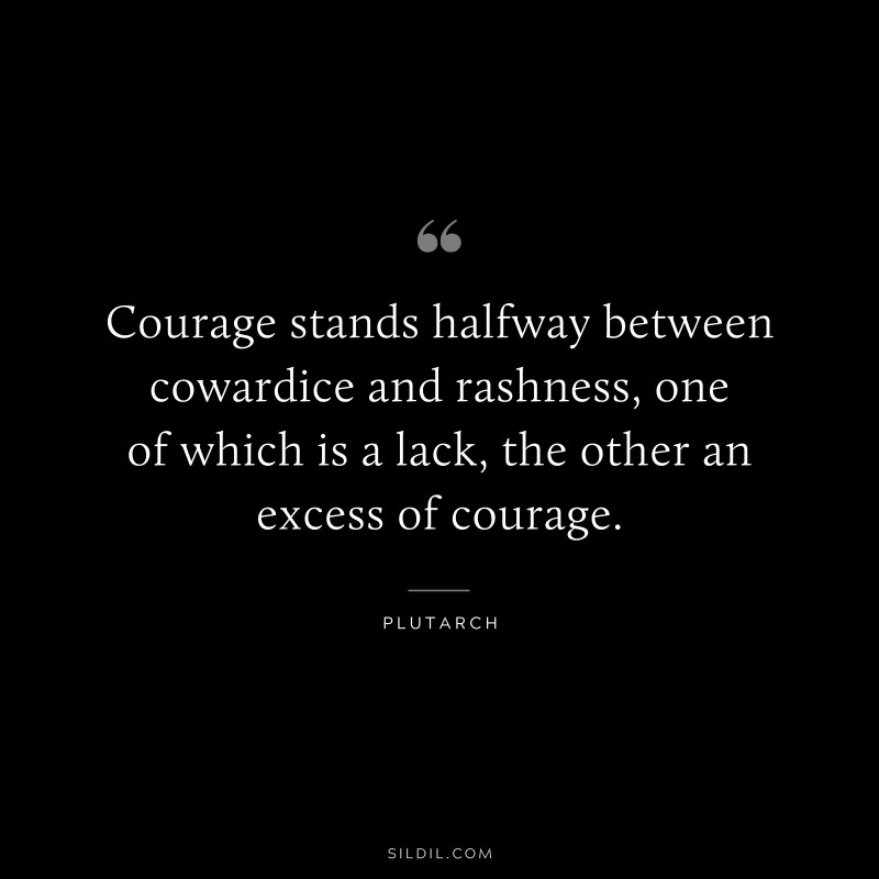 Courage stands halfway between cowardice and rashness, one of which is a lack, the other an excess of courage. ― Plutarch