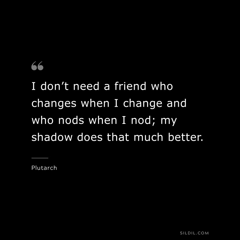 I don’t need a friend who changes when I change and who nods when I nod; my shadow does that much better. ― Plutarch