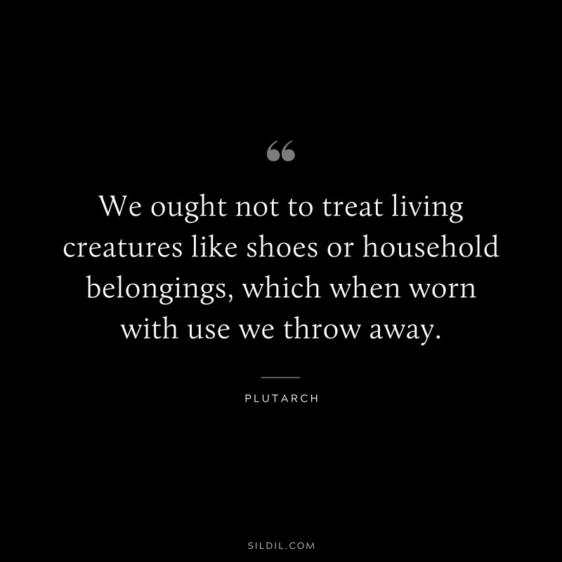 We ought not to treat living creatures like shoes or household belongings, which when worn with use we throw away. ― Plutarch