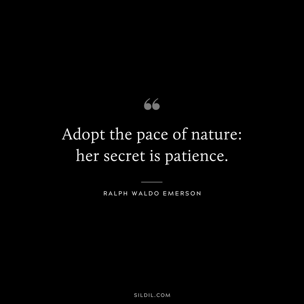 Adopt the pace of nature: her secret is patience. — Ralph Waldo Emerson