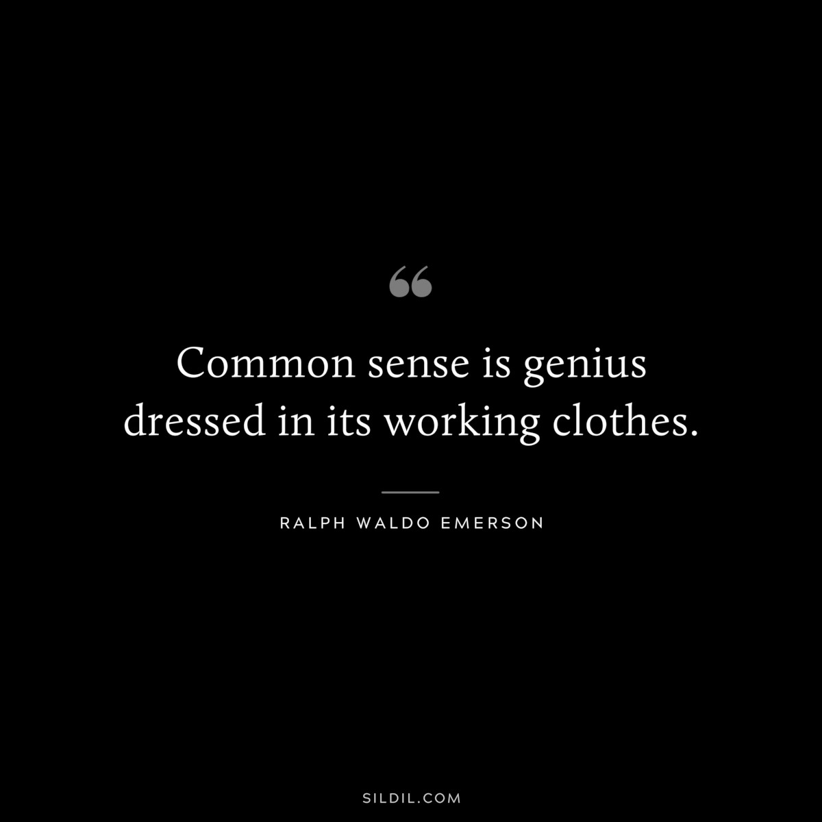 Common sense is genius dressed in its working clothes. — Ralph Waldo Emerson