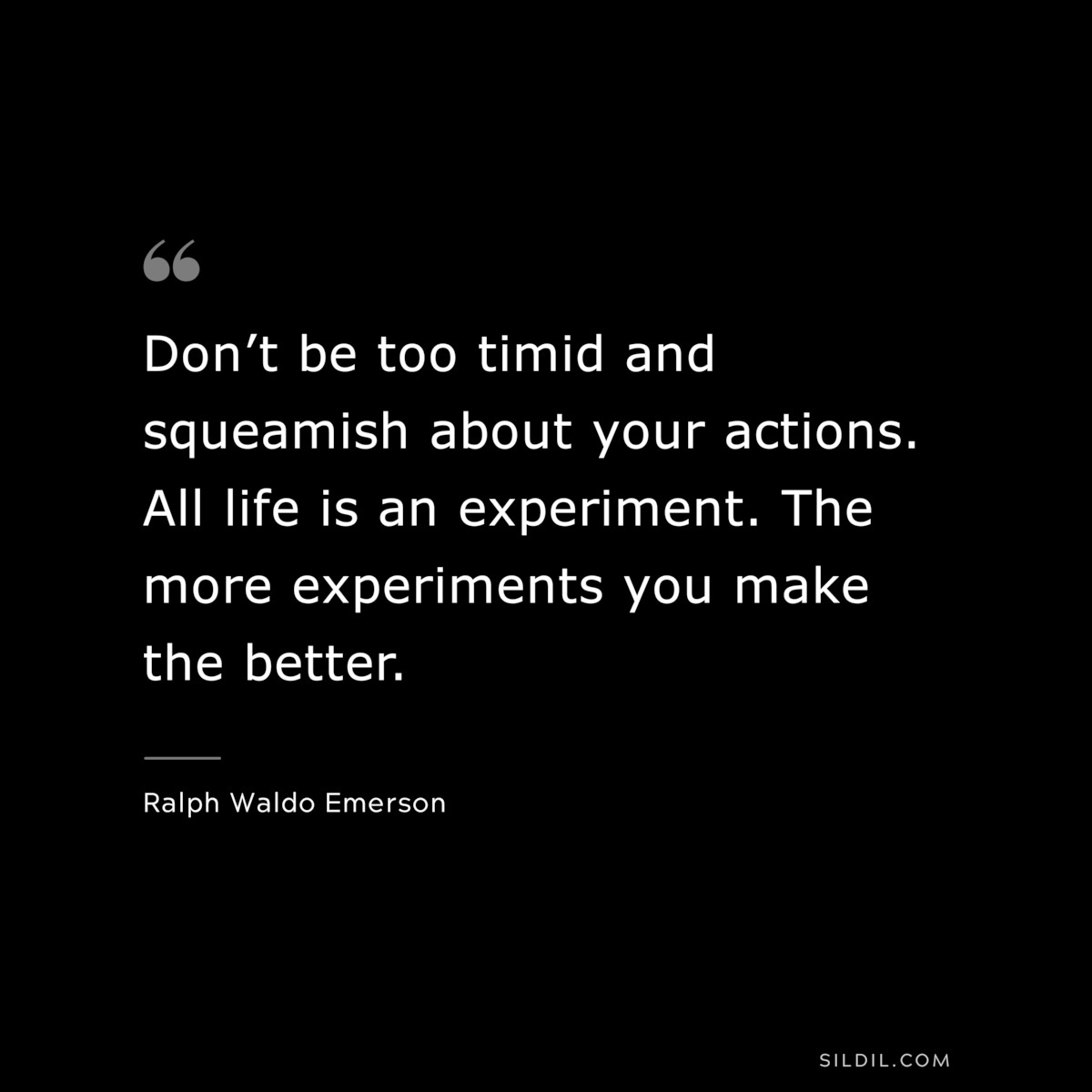 Don’t be too timid and squeamish about your actions. All life is an experiment. The more experiments you make the better. — Ralph Waldo Emerson