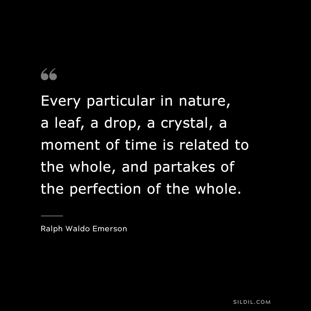 Every particular in nature, a leaf, a drop, a crystal, a moment of time is related to the whole, and partakes of the perfection of the whole. — Ralph Waldo Emerson