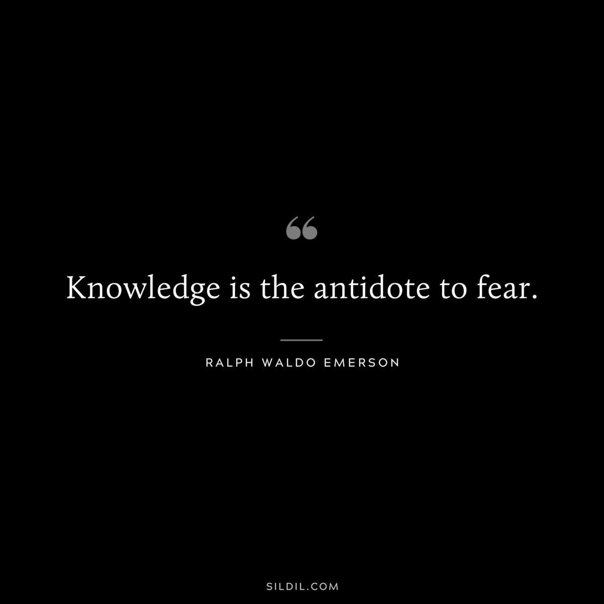 Knowledge is the antidote to fear. — Ralph Waldo Emerson