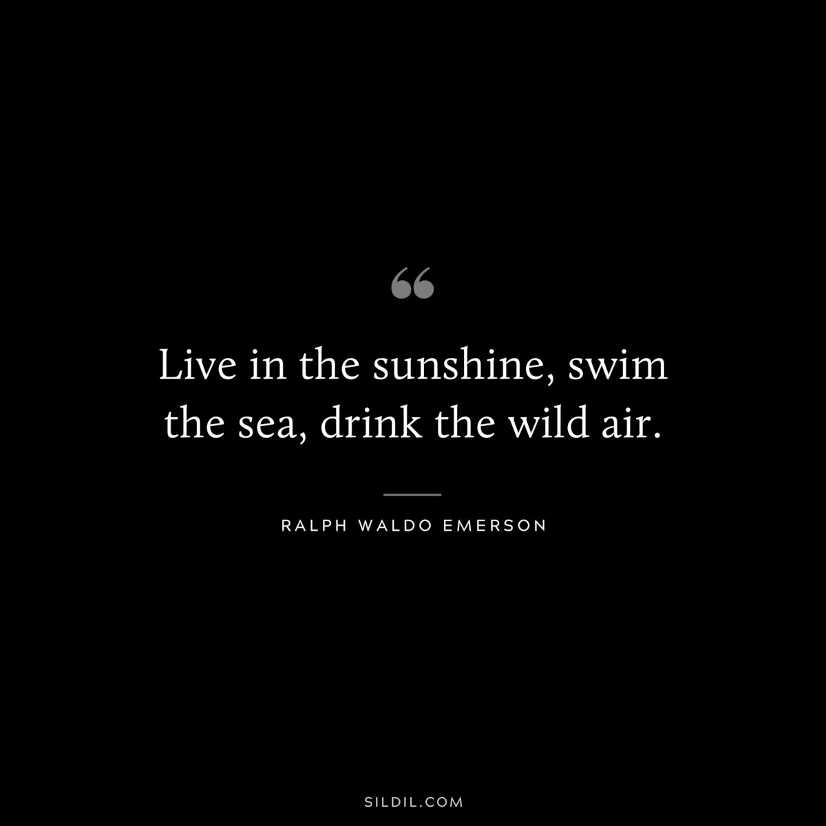 Live in the sunshine, swim the sea, drink the wild air. — Ralph Waldo Emerson