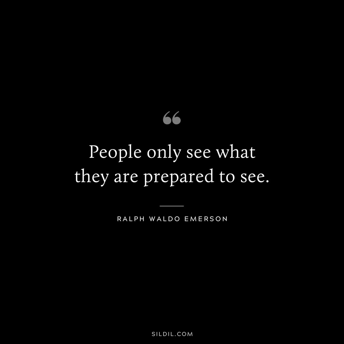 People only see what they are prepared to see. — Ralph Waldo Emerson
