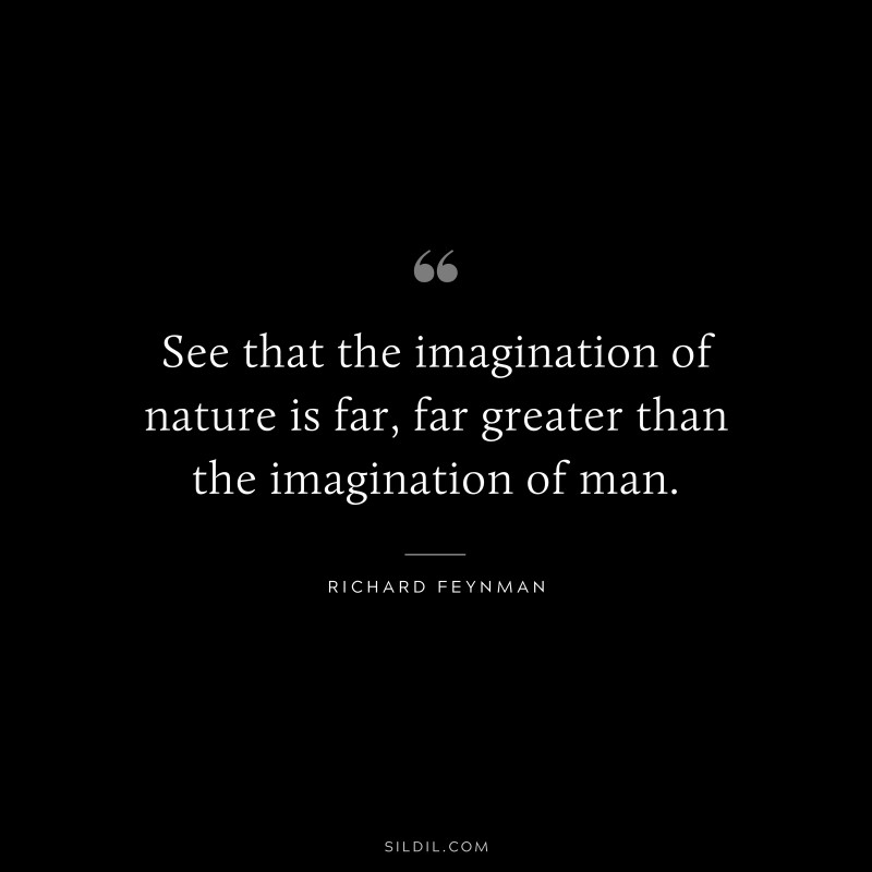 See that the imagination of nature is far, far greater than the imagination of man. ― Richard Feynman