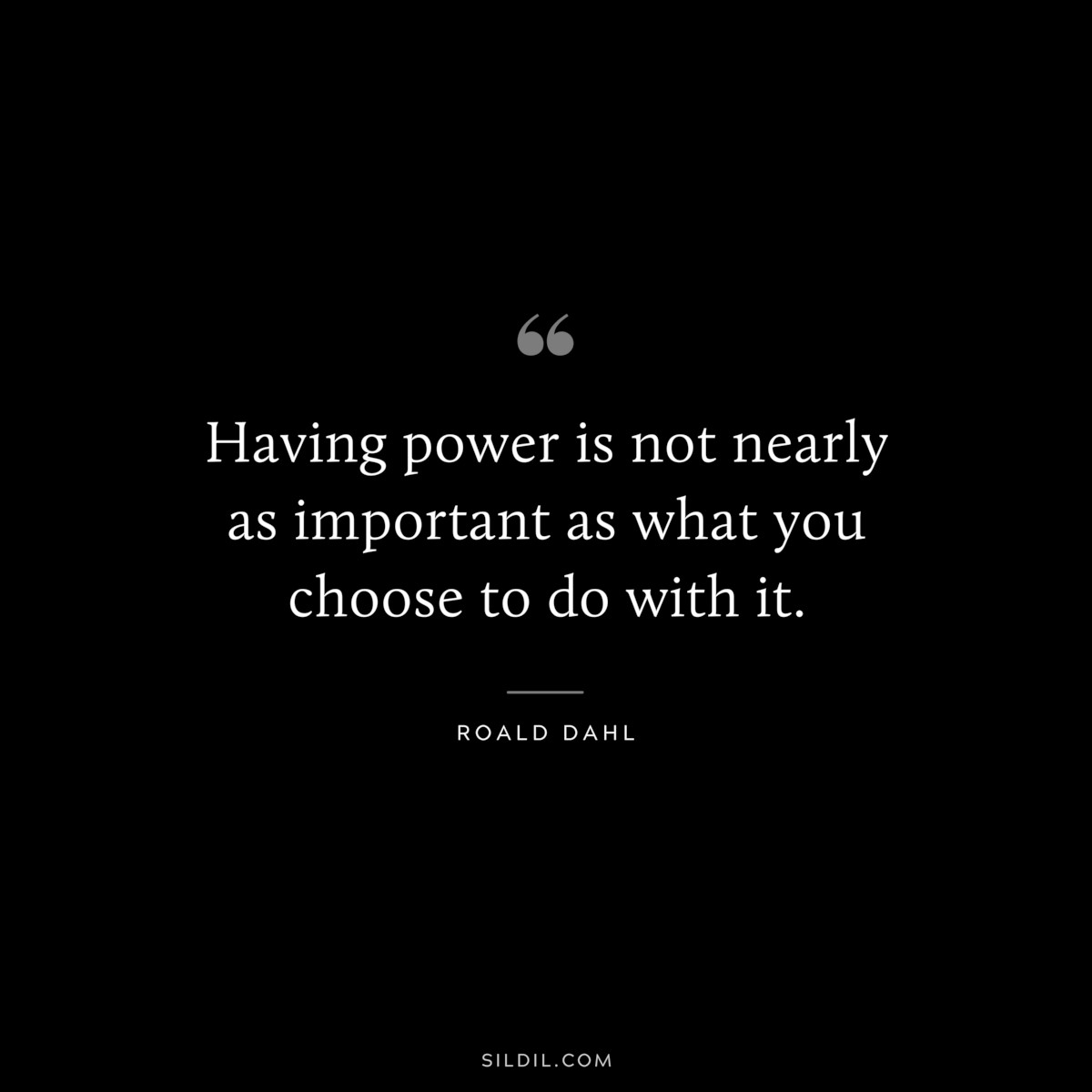 Having power is not nearly as important as what you choose to do with it. ― Roald Dahl