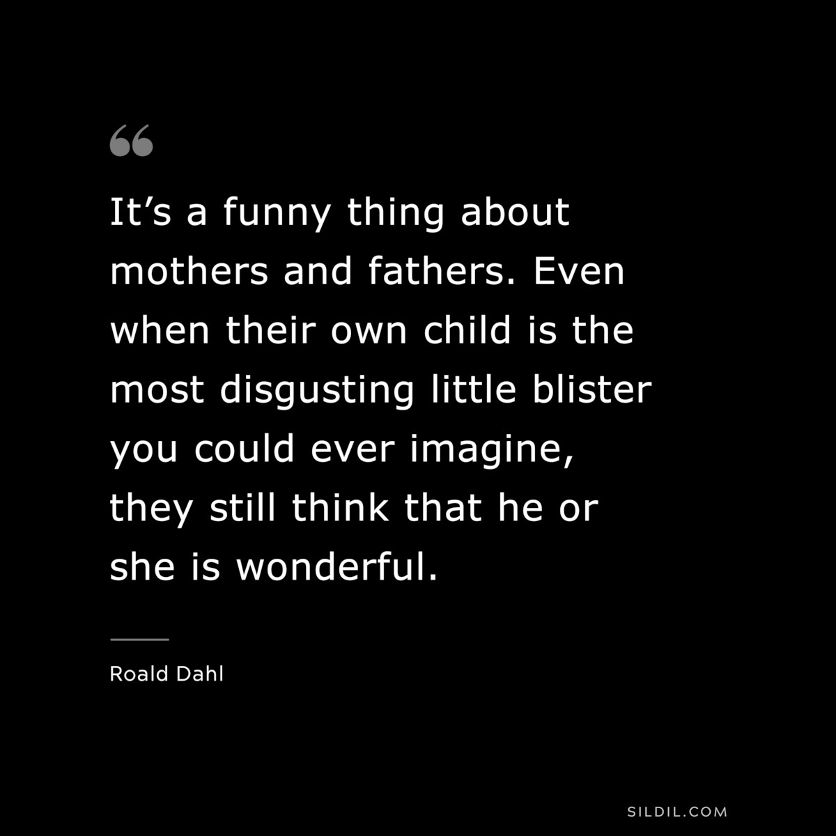 It’s a funny thing about mothers and fathers. Even when their own child is the most disgusting little blister you could ever imagine, they still think that he or she is wonderful. ― Roald Dahl