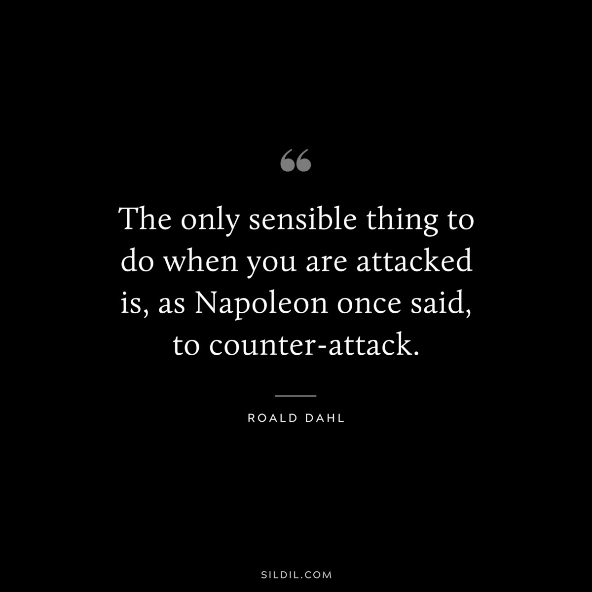 The only sensible thing to do when you are attacked is, as Napoleon once said, to counter-attack. ― Roald Dahl