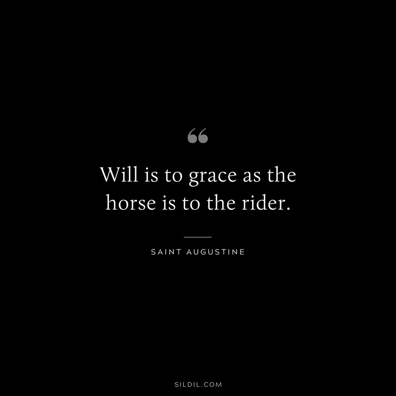 Will is to grace as the horse is to the rider. ― Saint Augustine