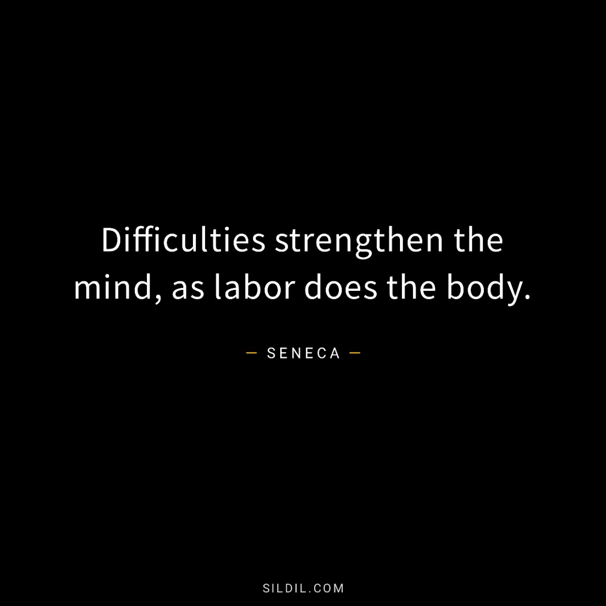 Difficulties strengthen the mind, as labor does the body.