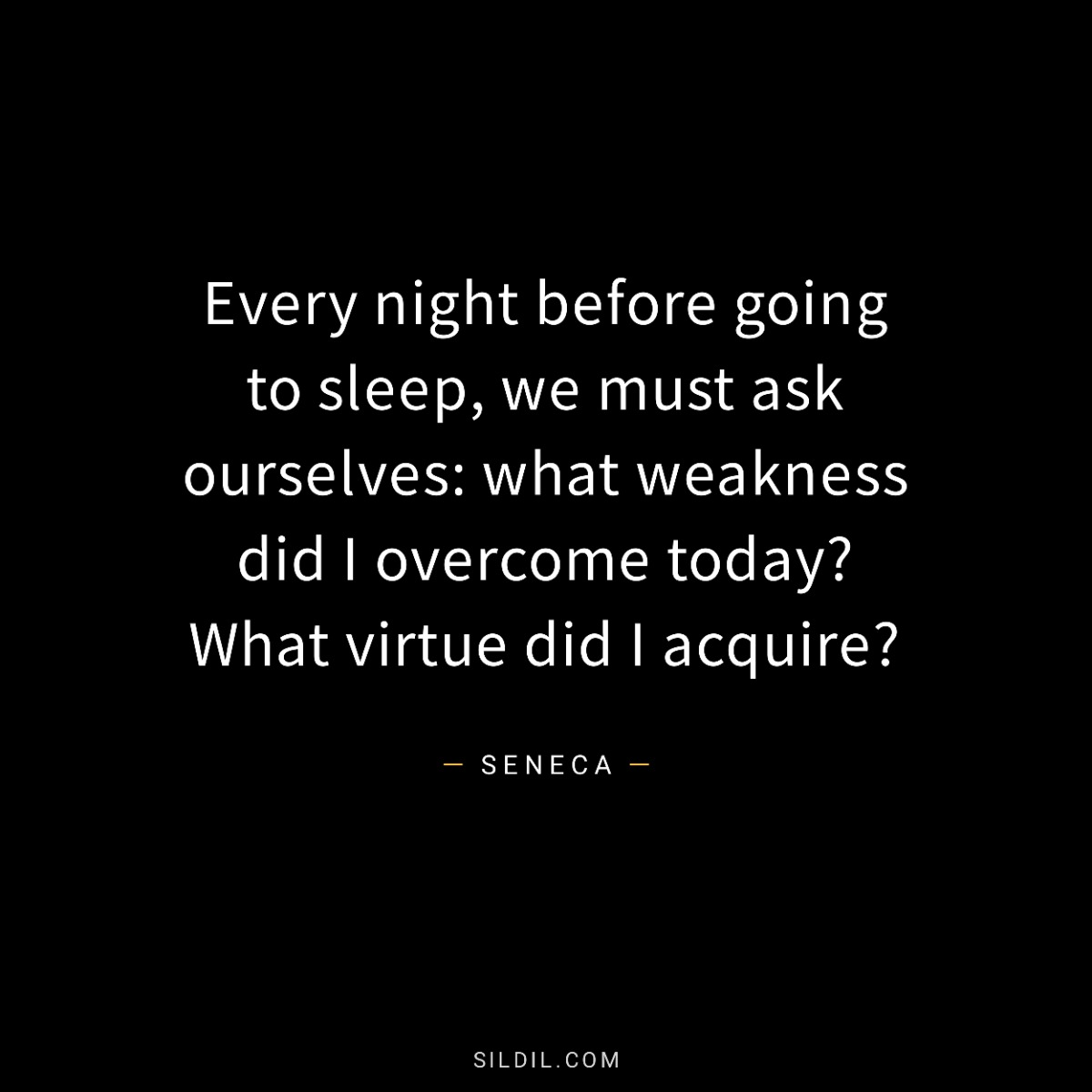 Every night before going to sleep, we must ask ourselves: what weakness did I overcome today? What virtue did I acquire?