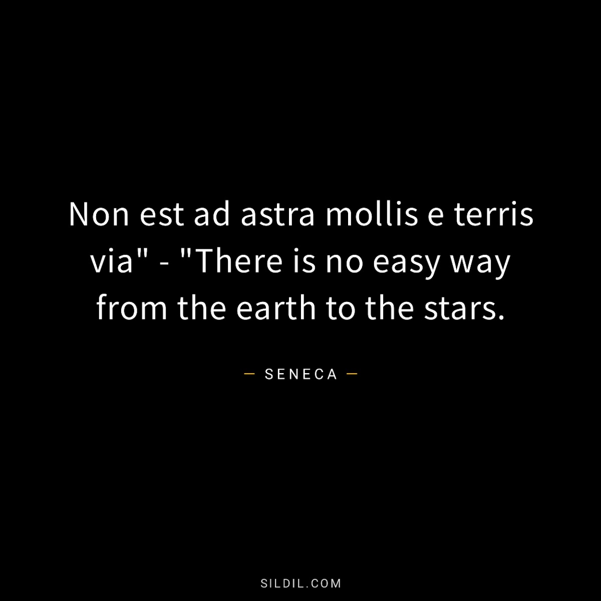 Non est ad astra mollis e terris via" - "There is no easy way from the earth to the stars.