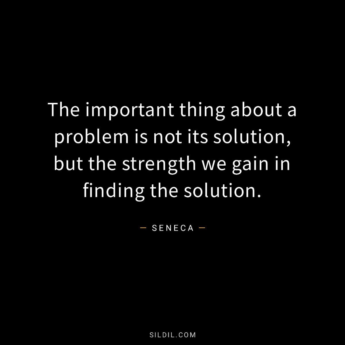 The important thing about a problem is not its solution, but the strength we gain in finding the solution.