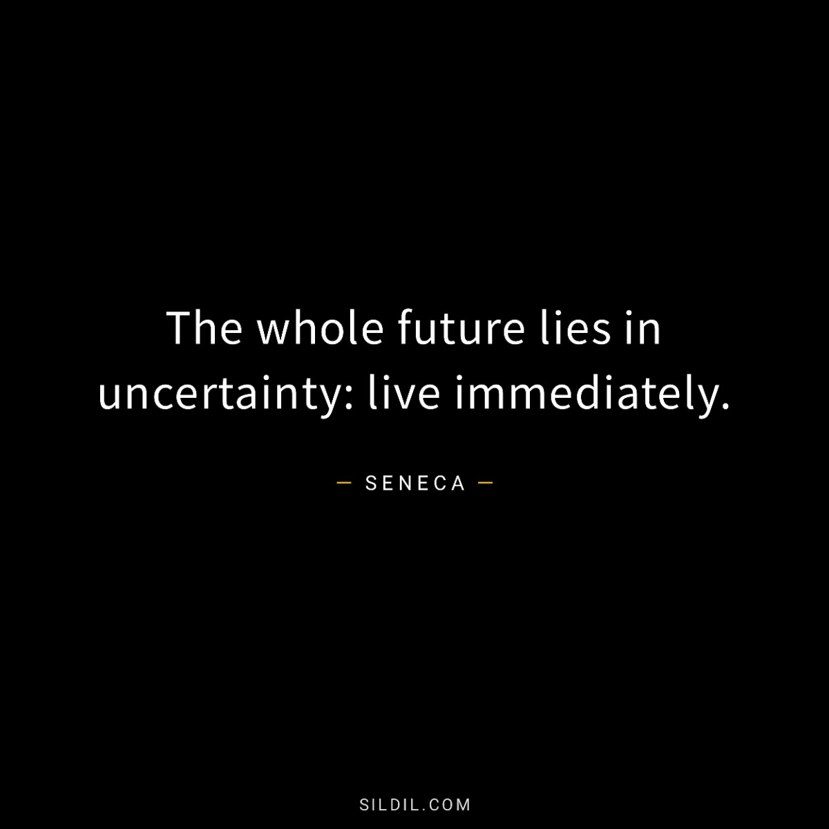 The whole future lies in uncertainty: live immediately.