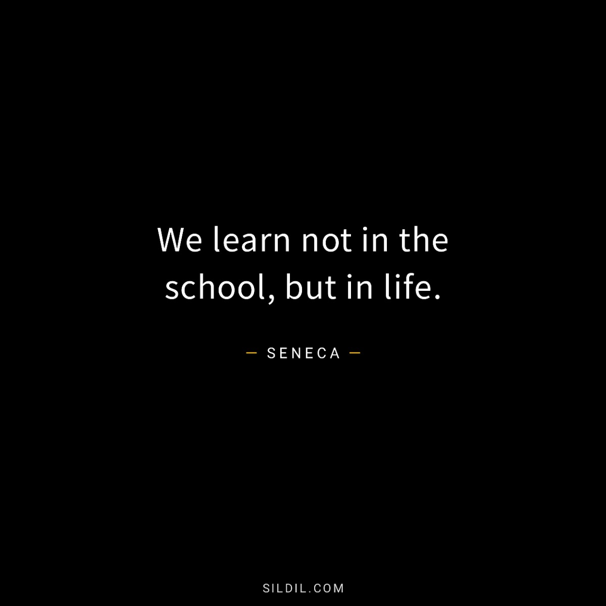 We learn not in the school, but in life.