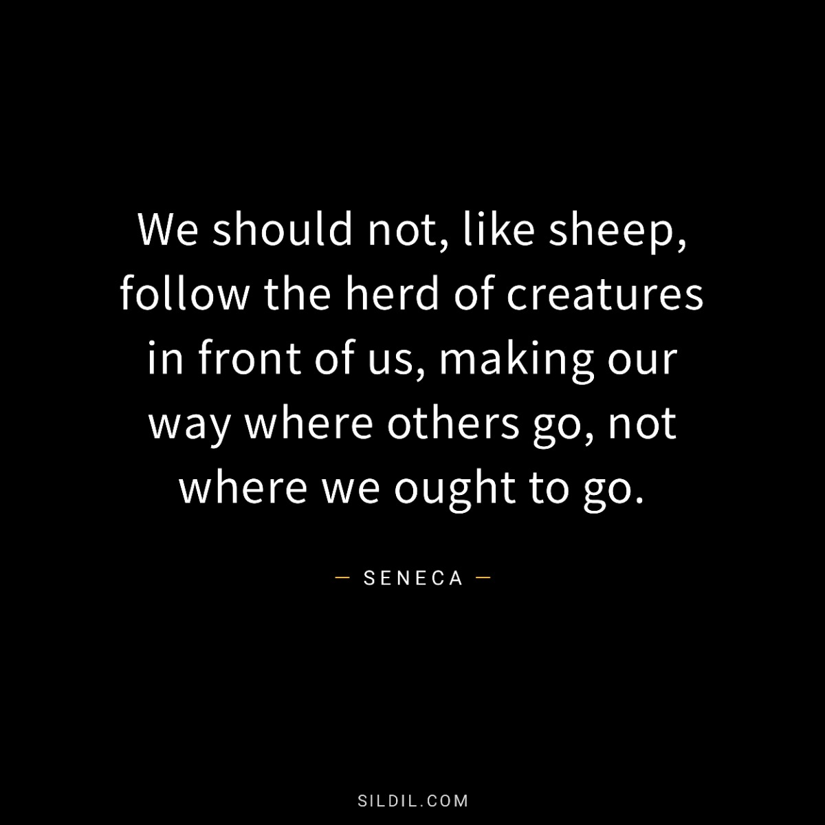 We should not, like sheep, follow the herd of creatures in front of us, making our way where others go, not where we ought to go.