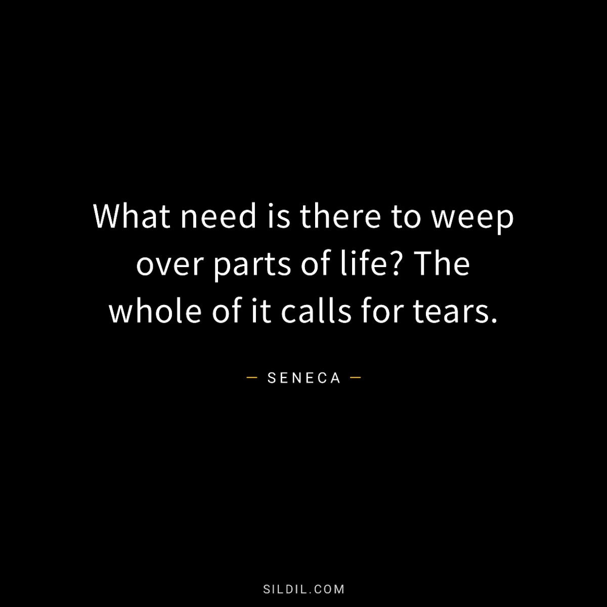 What need is there to weep over parts of life? The whole of it calls for tears.