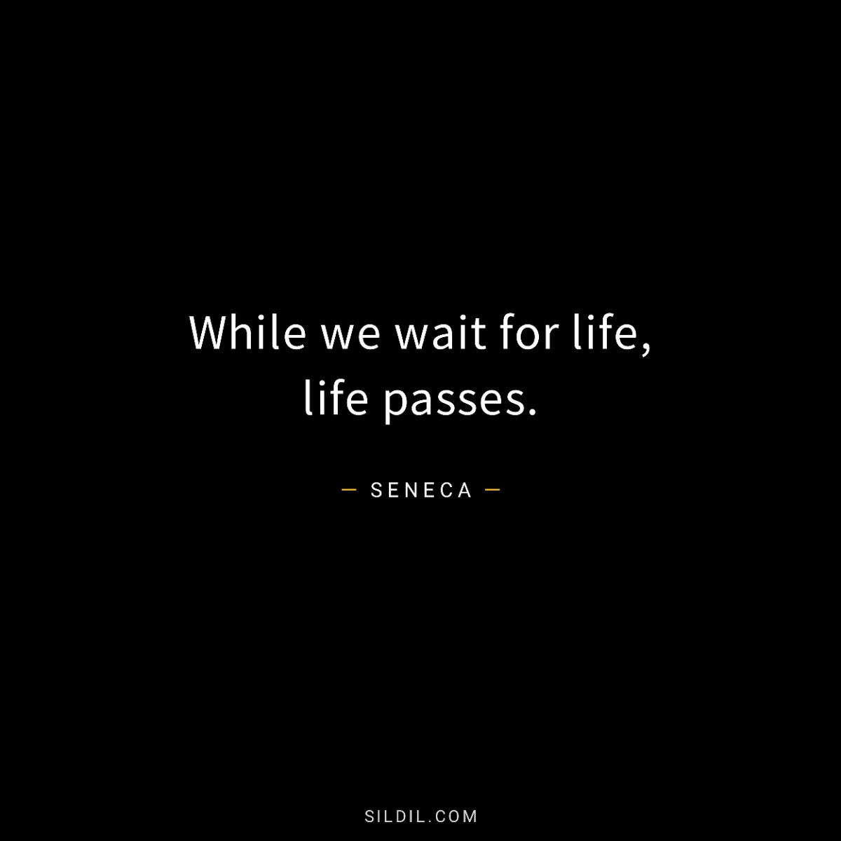 While we wait for life, life passes.