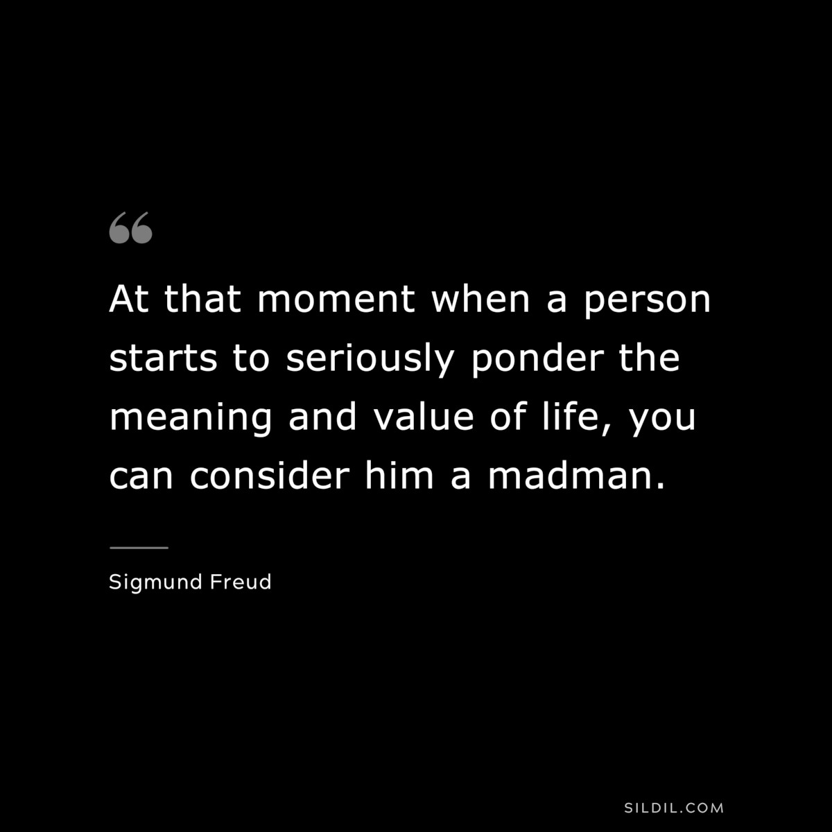 At that moment when a person starts to seriously ponder the meaning and value of life, you can consider him a madman. ― Sigmund Frued
