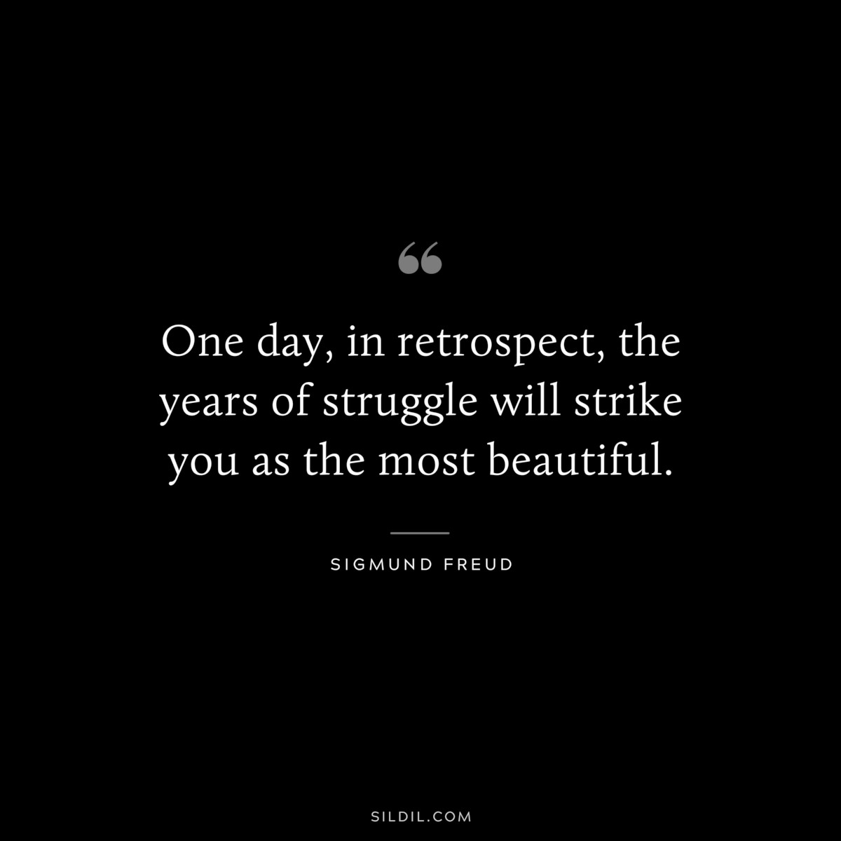 One day, in retrospect, the years of struggle will strike you as the most beautiful. ― Sigmund Frued