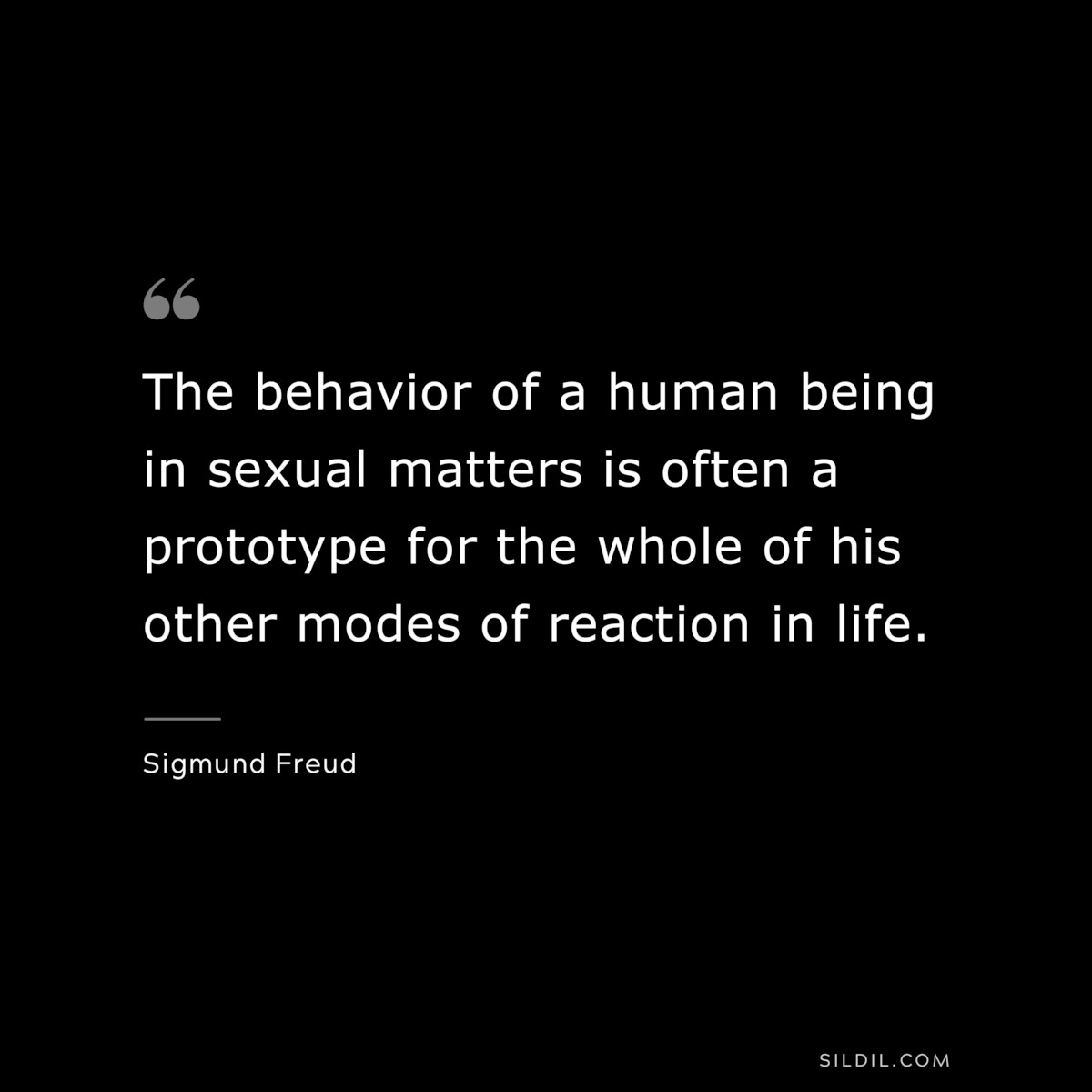 The behavior of a human being in sexual matters is often a prototype for the whole of his other modes of reaction in life. ― Sigmund Frued