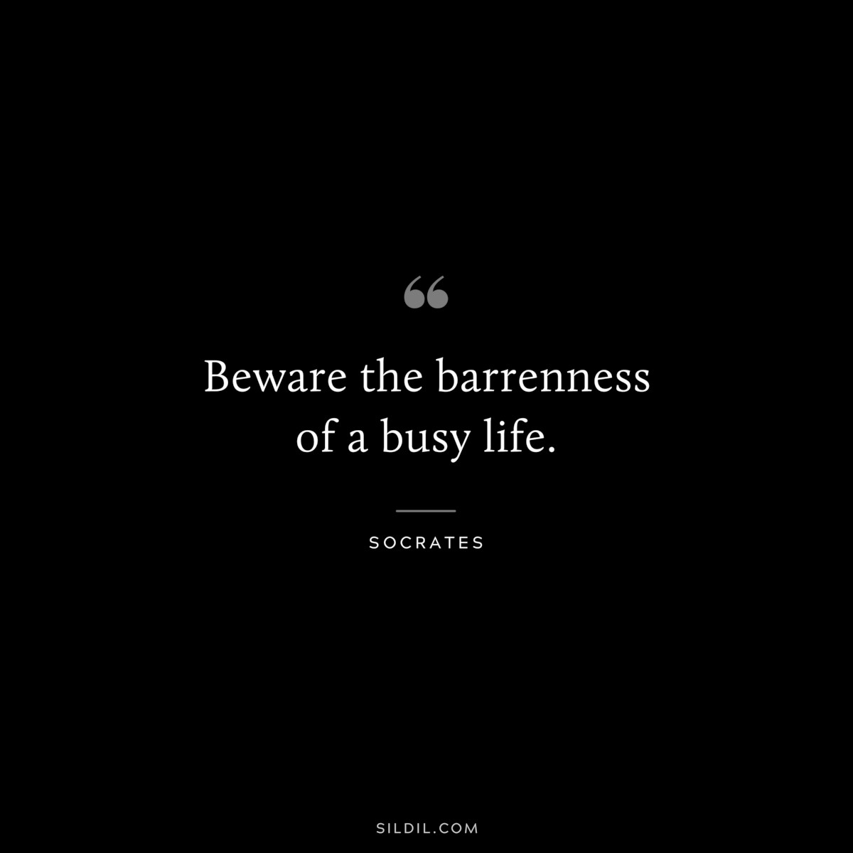 Beware the barrenness of a busy life. ― Socrates