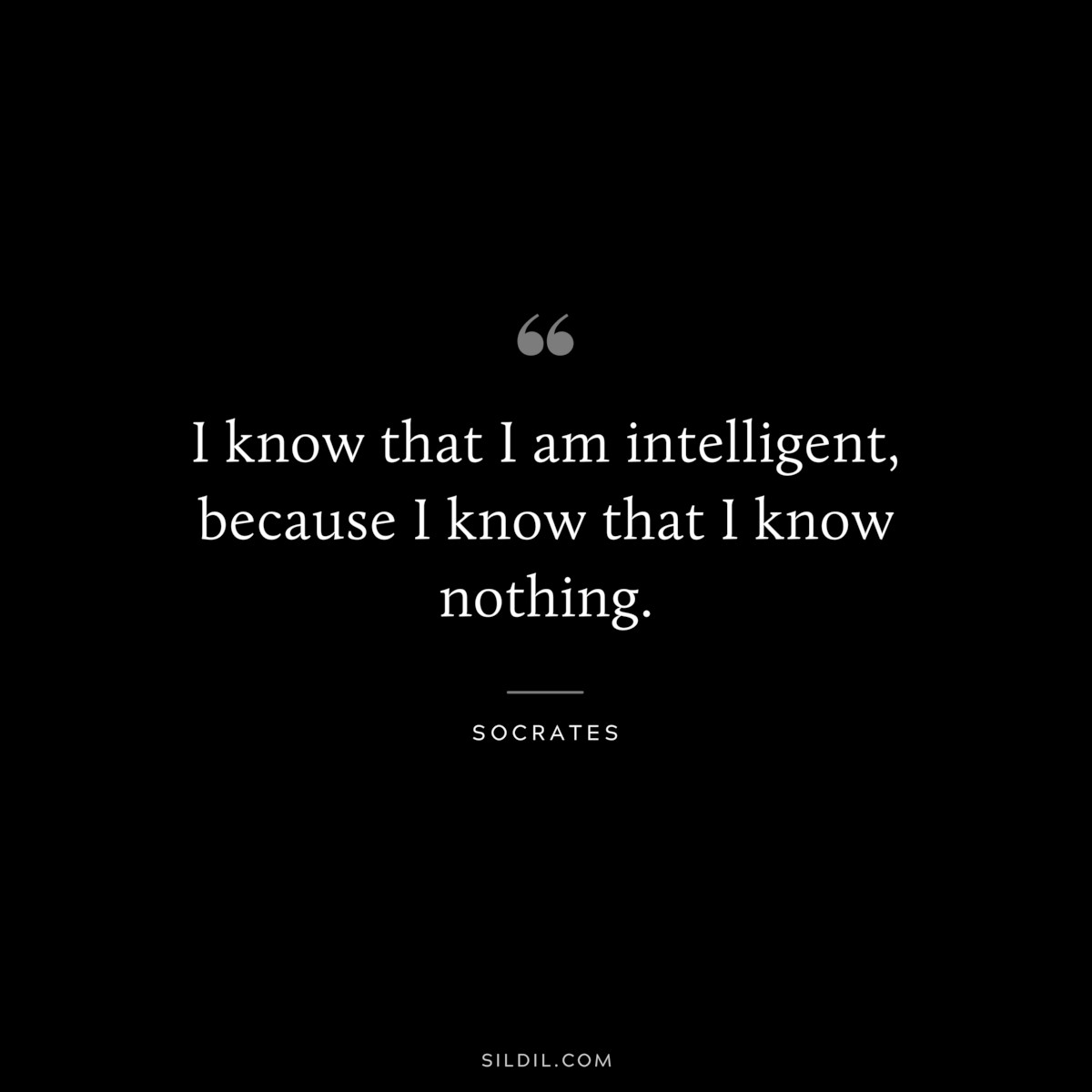 I know that I am intelligent, because I know that I know nothing. ― Socrates
