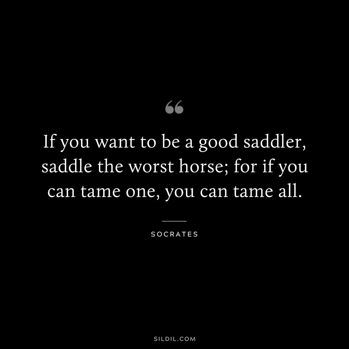 If you want to be a good saddler, saddle the worst horse; for if you can tame one, you can tame all. ― Socrates